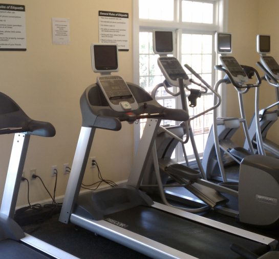 about-gym